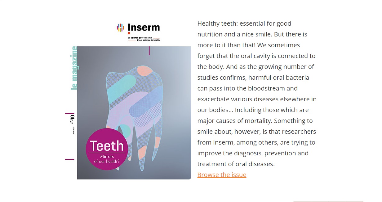 Discover our special feature called “Teeth. Mirrors of our health?”. Inserm’s Science & Santé magazine illustrates discoveries, debates and issues from ever-evolving field of biomedical research